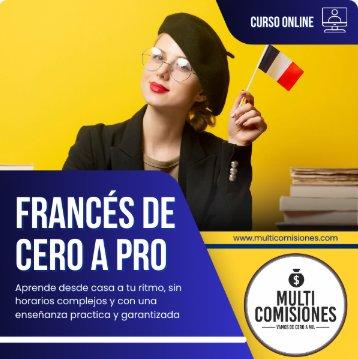 Francés de Cero a Pro