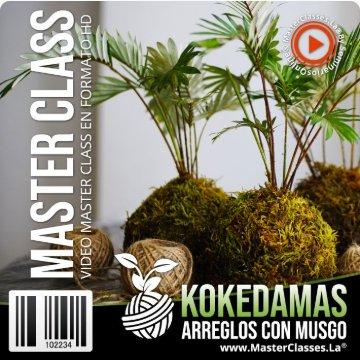 Kokedamas: Arreglos con Musgo