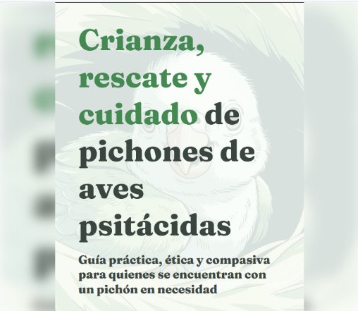 Guía práctica para la crianza, rescate y cuidado de pichones de aves psitácidas