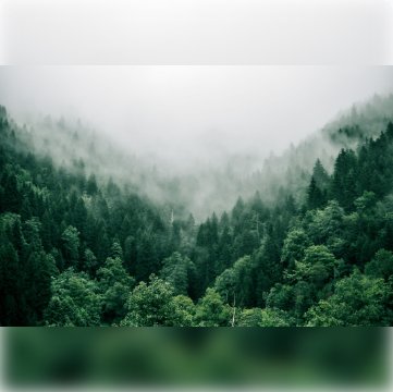 ISO 14067: Cuantificación de la Huella de Carbono HCP